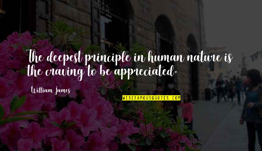 You Not Appreciated Quotes By William James: The deepest principle in human nature is the