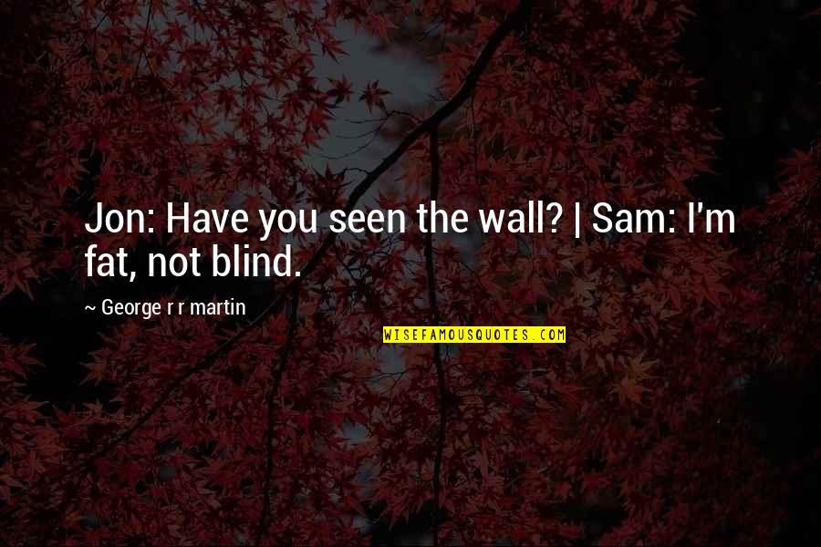 You Not Fat Quotes By George R R Martin: Jon: Have you seen the wall? | Sam: