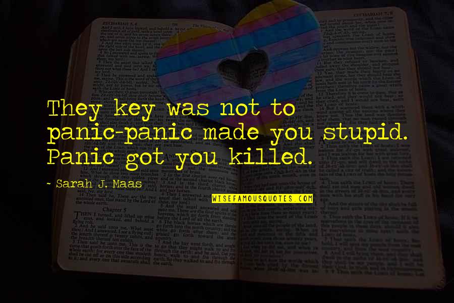 You Not Stupid Quotes By Sarah J. Maas: They key was not to panic-panic made you