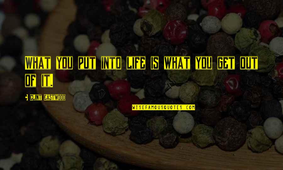 You Only Get What You Put In Quotes By Clint Eastwood: What you put into life is what you