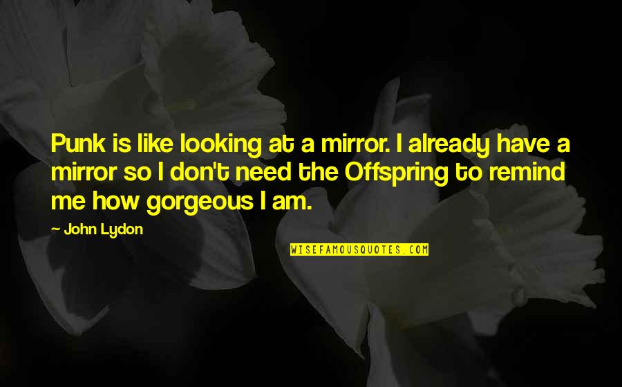 You Only Need Me Quotes By John Lydon: Punk is like looking at a mirror. I