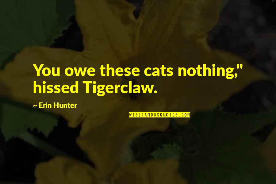 You Owe Nothing Quotes By Erin Hunter: You owe these cats nothing," hissed Tigerclaw.