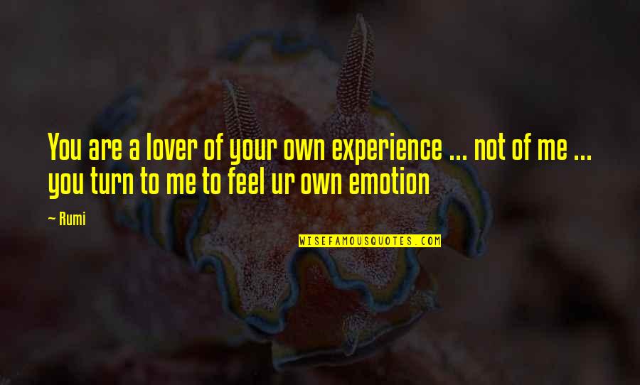 You Own Me Quotes By Rumi: You are a lover of your own experience