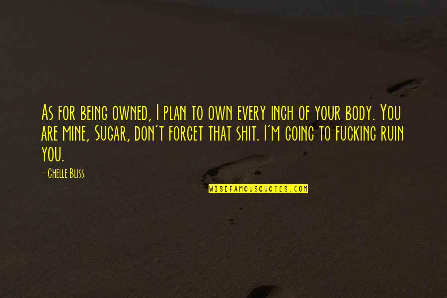 You Owned Quotes By Chelle Bliss: As for being owned, I plan to own