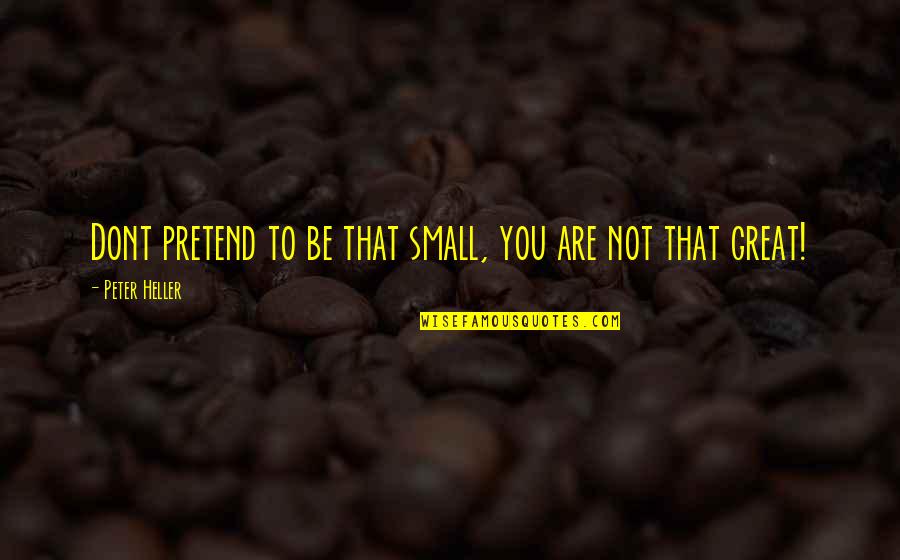You Pretend Quotes By Peter Heller: Dont pretend to be that small, you are