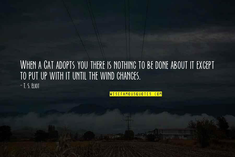 You Put The Quotes By T. S. Eliot: When a Cat adopts you there is nothing