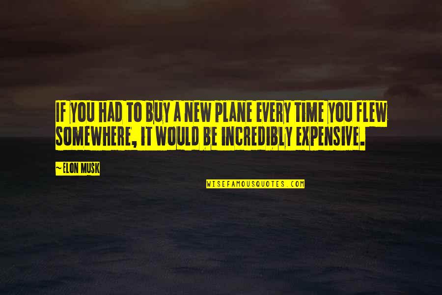 You Reap What You Sow Quotes By Elon Musk: If you had to buy a new plane