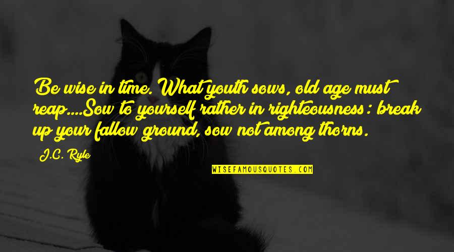 You Reap What You Sow Quotes By J.C. Ryle: Be wise in time. What youth sows, old