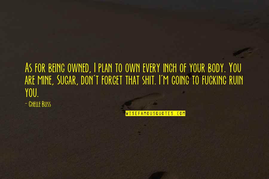 You Ruin Me Quotes By Chelle Bliss: As for being owned, I plan to own