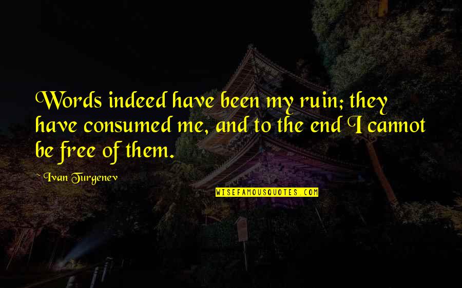 You Ruin Me Quotes By Ivan Turgenev: Words indeed have been my ruin; they have