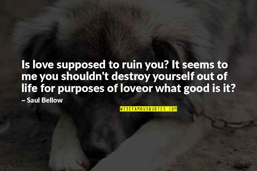 You Ruin Me Quotes By Saul Bellow: Is love supposed to ruin you? It seems