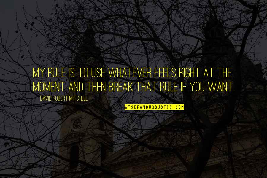 You Rule Quotes By David Robert Mitchell: My rule is to use whatever feels right