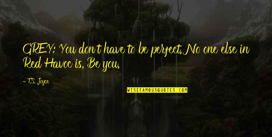 You Sandbagging Son Of A Quotes By T.S. Joyce: GREY: You don't have to be perfect. No