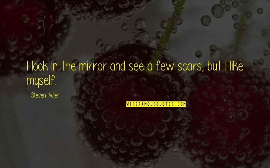 You See My Scars Quotes By Steven Adler: I look in the mirror and see a You See My Scars Quotes By Steven Adler: I look in the mirror and see a