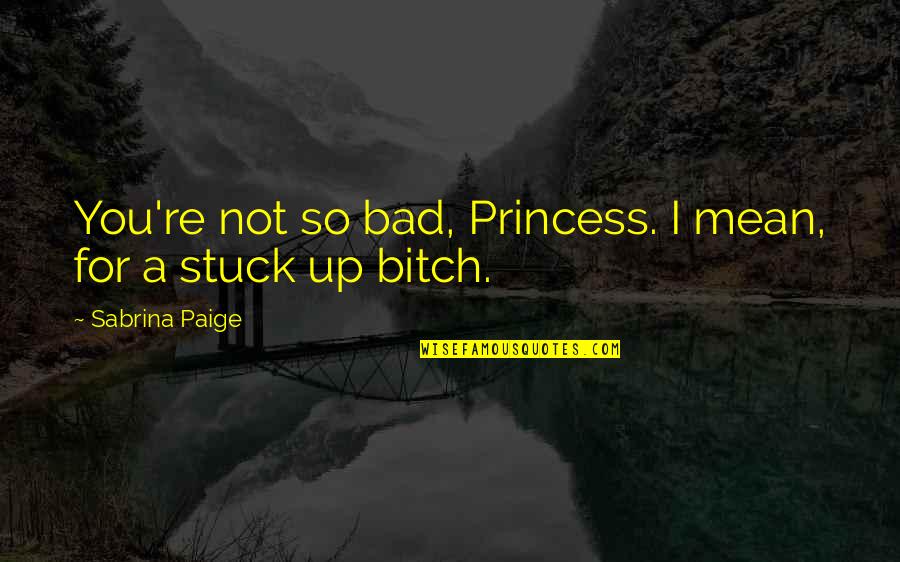 You So Mean Quotes By Sabrina Paige: You're not so bad, Princess. I mean, for You So Mean Quotes By Sabrina Paige: You're not so bad, Princess. I mean, for