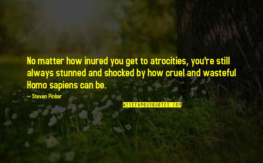 You Still Matter Quotes By Steven Pinker: No matter how inured you get to atrocities,