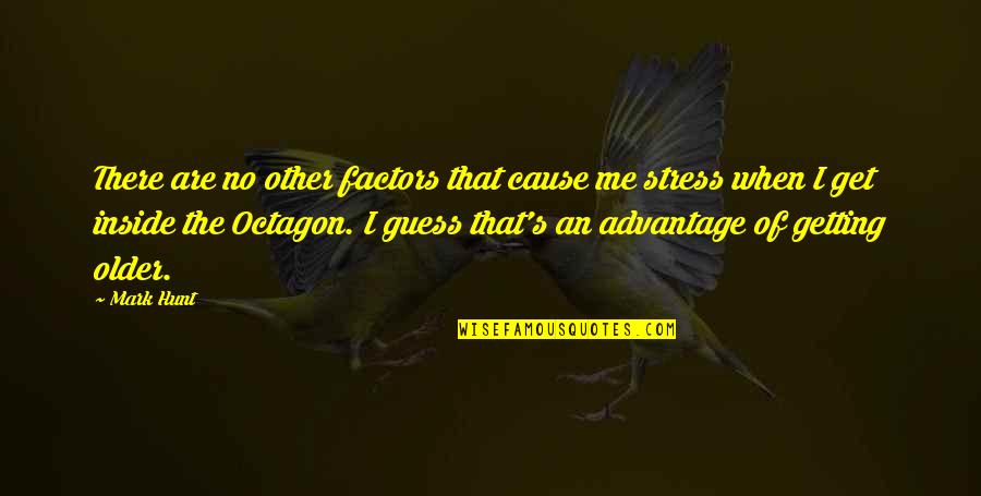 You Stress Me Quotes By Mark Hunt: There are no other factors that cause me