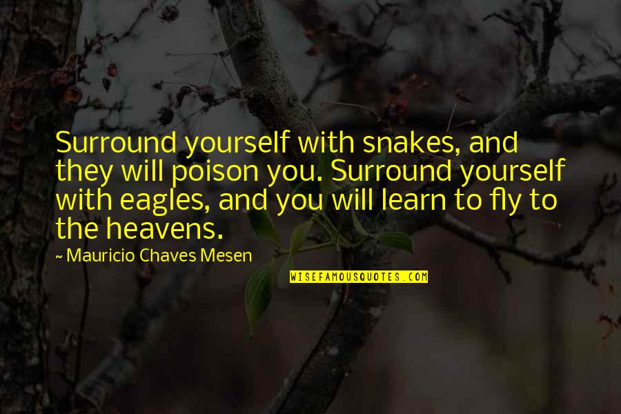 You Surround Yourself Quotes By Mauricio Chaves Mesen: Surround yourself with snakes, and they will poison