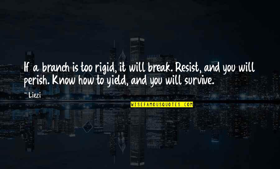 You Survive Quotes By Liezi: If a branch is too rigid, it will You Survive Quotes By Liezi: If a branch is too rigid, it will