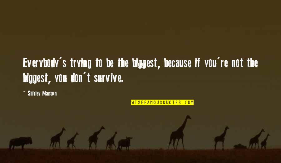 You Survive Quotes By Shirley Manson: Everybody's trying to be the biggest, because if You Survive Quotes By Shirley Manson: Everybody's trying to be the biggest, because if