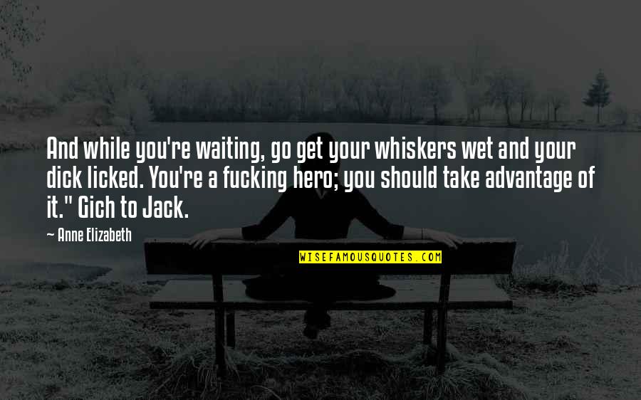 You Take Advantage Quotes By Anne Elizabeth: And while you're waiting, go get your whiskers