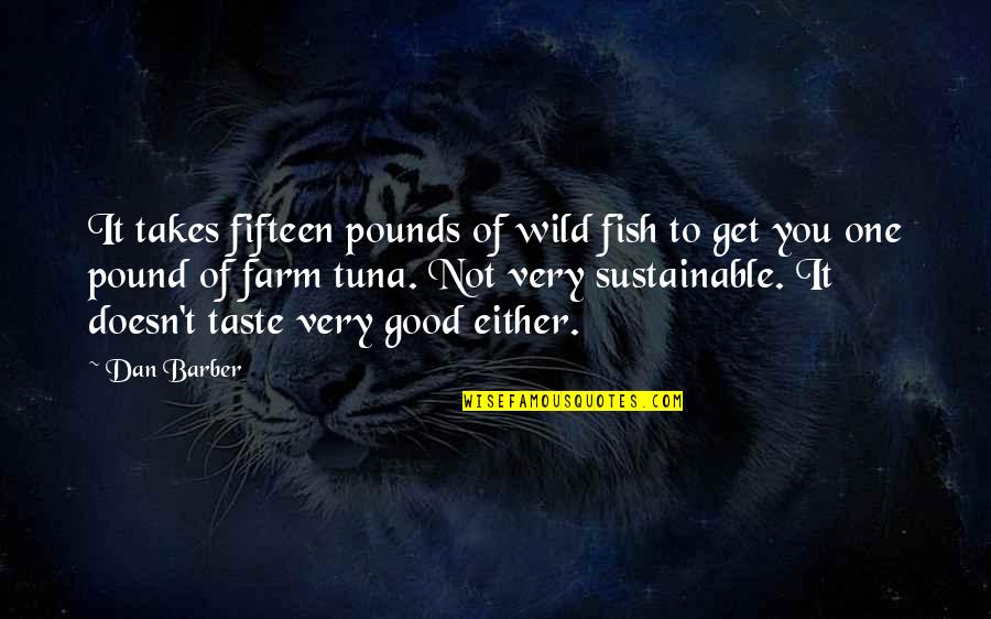 You Taste So Good Quotes By Dan Barber: It takes fifteen pounds of wild fish to You Taste So Good Quotes By Dan Barber: It takes fifteen pounds of wild fish to