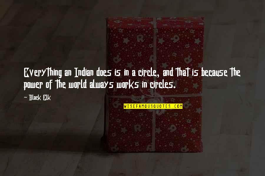 You Taught Me A Lesson Quotes By Black Elk: Everything an Indian does is in a circle,