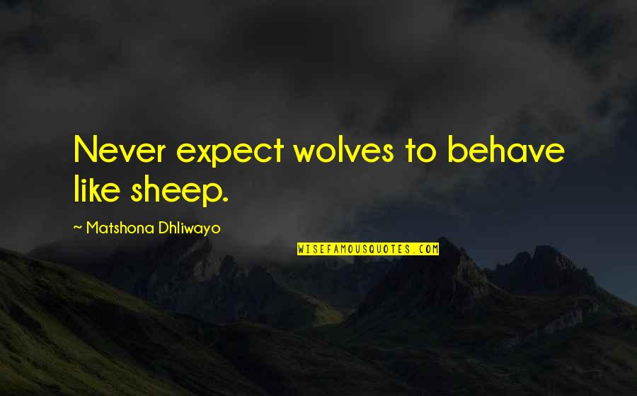 You Teach Me To Football Quotes By Matshona Dhliwayo: Never expect wolves to behave like sheep. You Teach Me To Football Quotes By Matshona Dhliwayo: Never expect wolves to behave like sheep.