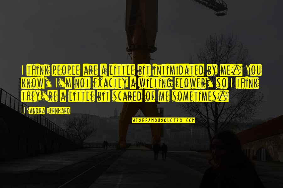 You Think You Know Me Quotes By Sandra Bernhard: I think people are a little bit intimidated