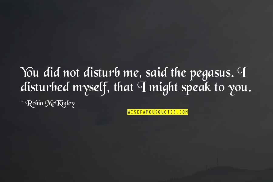 You To Me Quotes By Robin McKinley: You did not disturb me, said the pegasus.