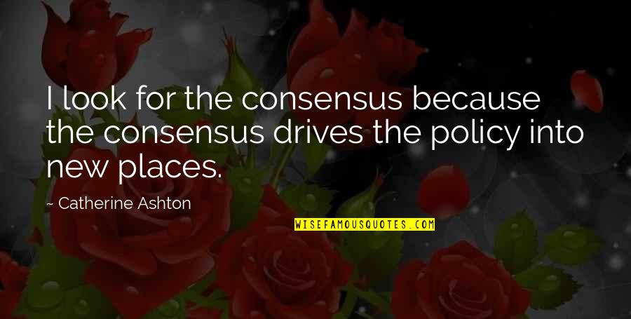 You Told Me To Leave Quotes By Catherine Ashton: I look for the consensus because the consensus You Told Me To Leave Quotes By Catherine Ashton: I look for the consensus because the consensus