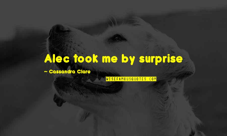 You Took Me By Surprise Quotes By Cassandra Clare: Alec took me by surprise