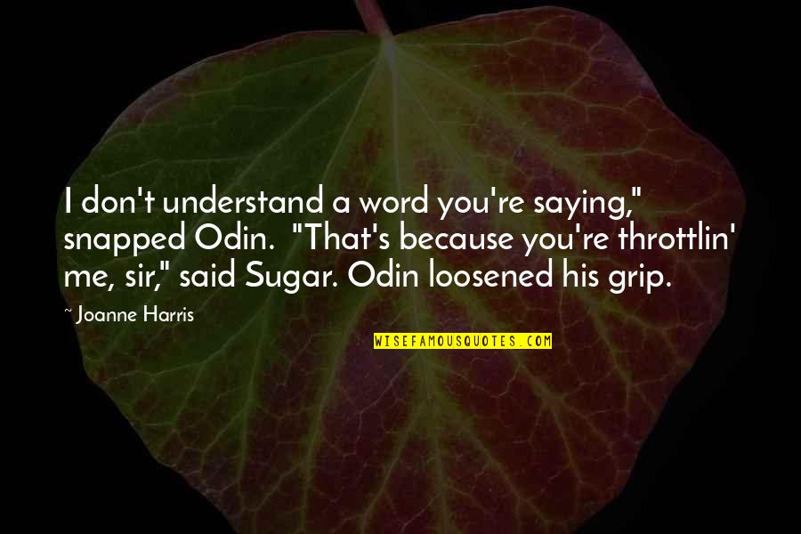 You Understand Me Quotes By Joanne Harris: I don't understand a word you're saying," snapped