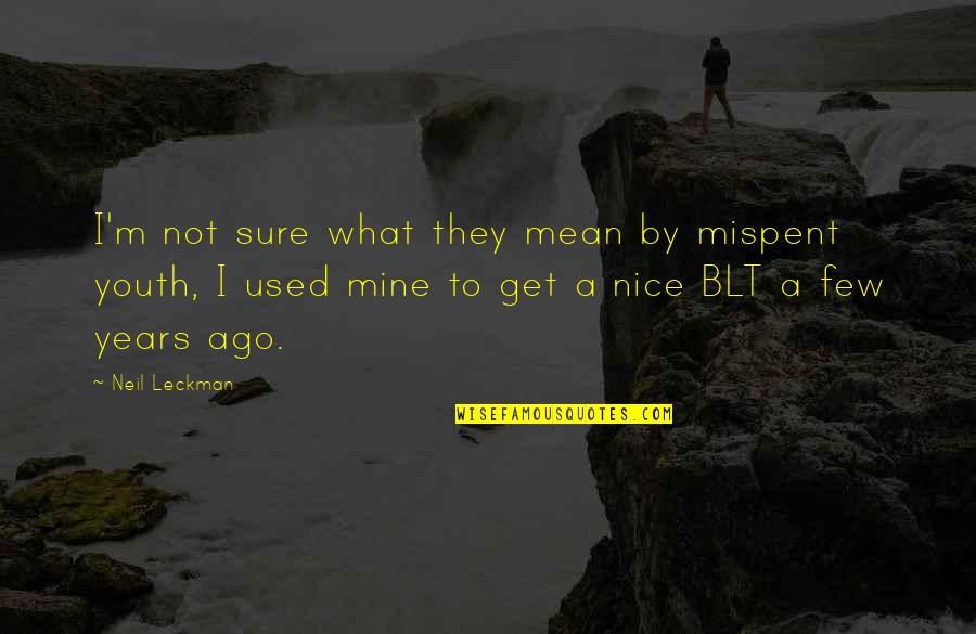You Used To Be Mine Quotes By Neil Leckman: I'm not sure what they mean by mispent