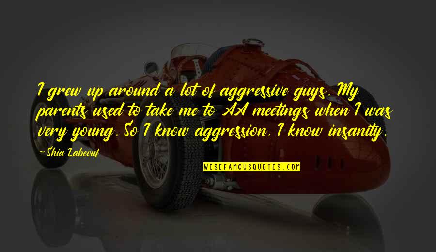 You Used To Know Me Quotes By Shia Labeouf: I grew up around a lot of aggressive