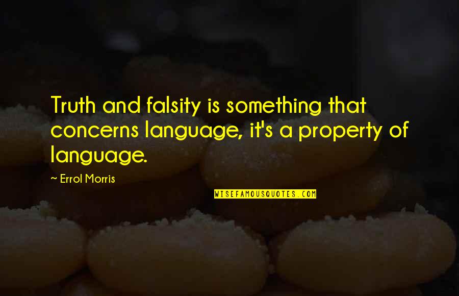 You Wack Quotes By Errol Morris: Truth and falsity is something that concerns language,