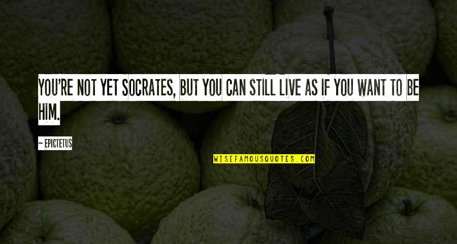 You Want Him Quotes By Epictetus: You're not yet Socrates, but you can still