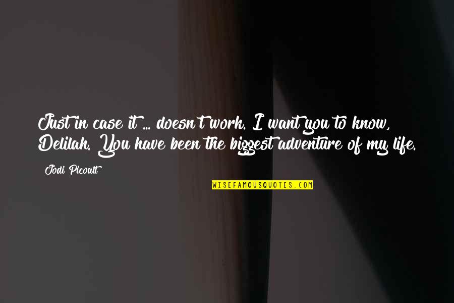 You Want My Life Quotes By Jodi Picoult: Just in case it ... doesn't work. I