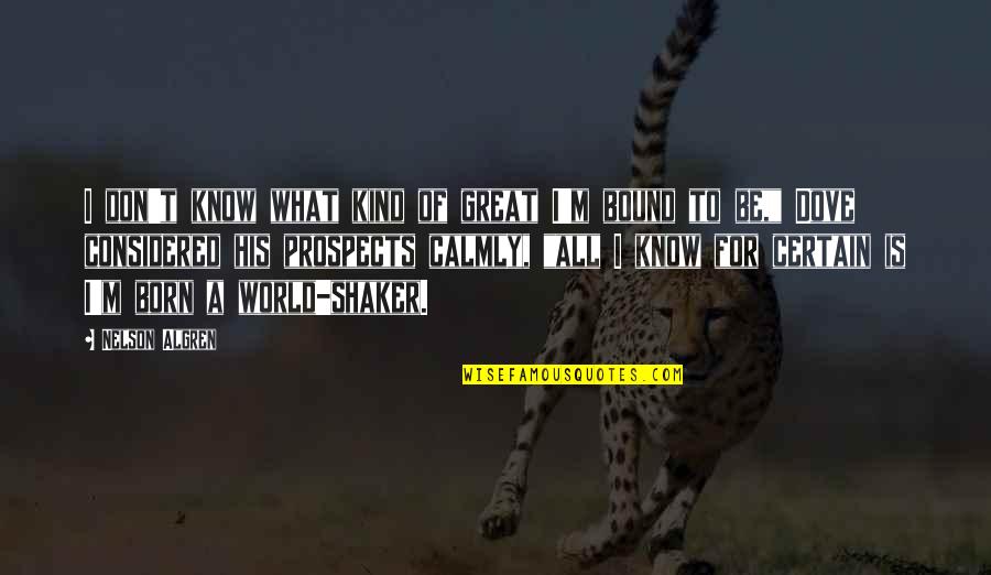 You Was Born For Greatness Quotes By Nelson Algren: I don't know what kind of great I'm You Was Born For Greatness Quotes By Nelson Algren: I don't know what kind of great I'm