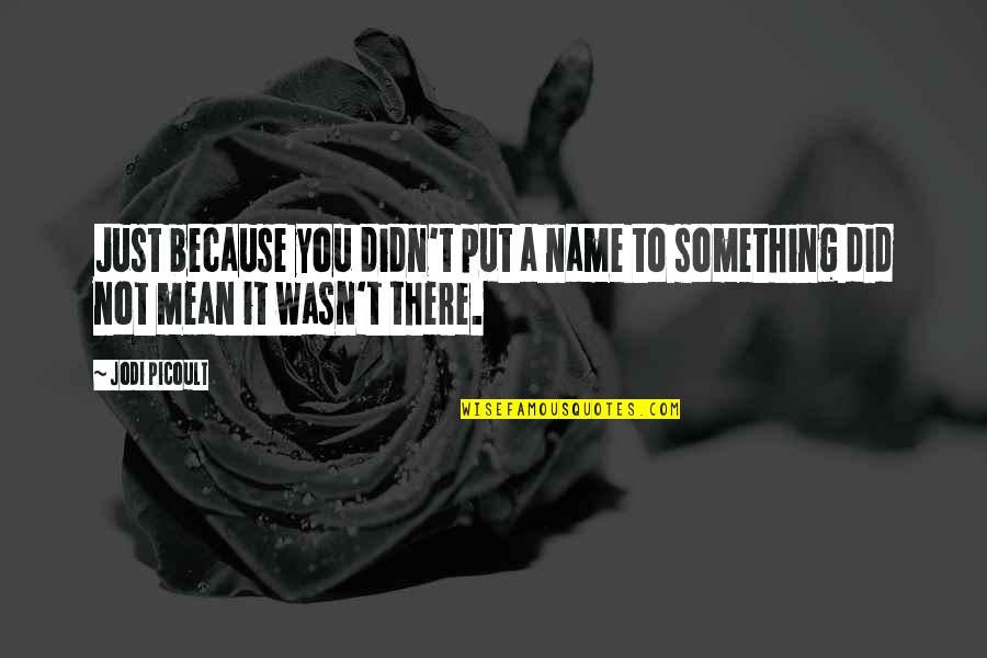 You Wasn't There Quotes By Jodi Picoult: Just because you didn't put a name to