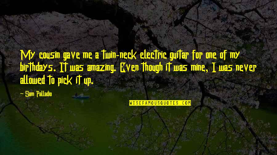 You Were Amazing To Me Quotes By Sam Palladio: My cousin gave me a twin-neck electric guitar