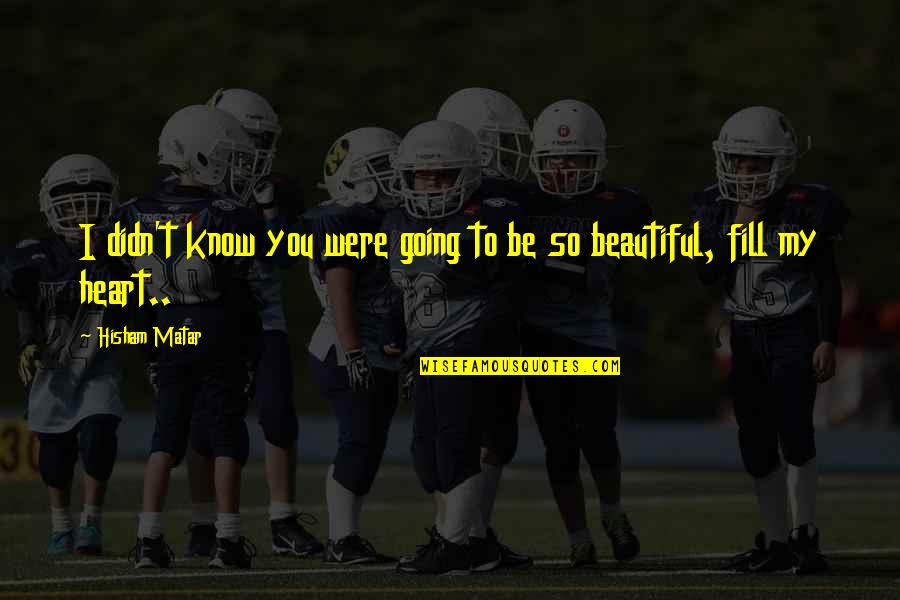 You Were Beautiful Quotes By Hisham Matar: I didn't know you were going to be