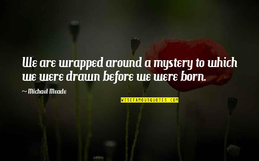 You Were Born For A Purpose Quotes By Michael Meade: We are wrapped around a mystery to which