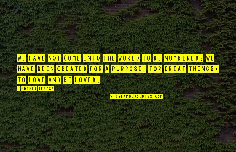 You Were Created For A Purpose Quotes By Mother Teresa: We have not come into the world to