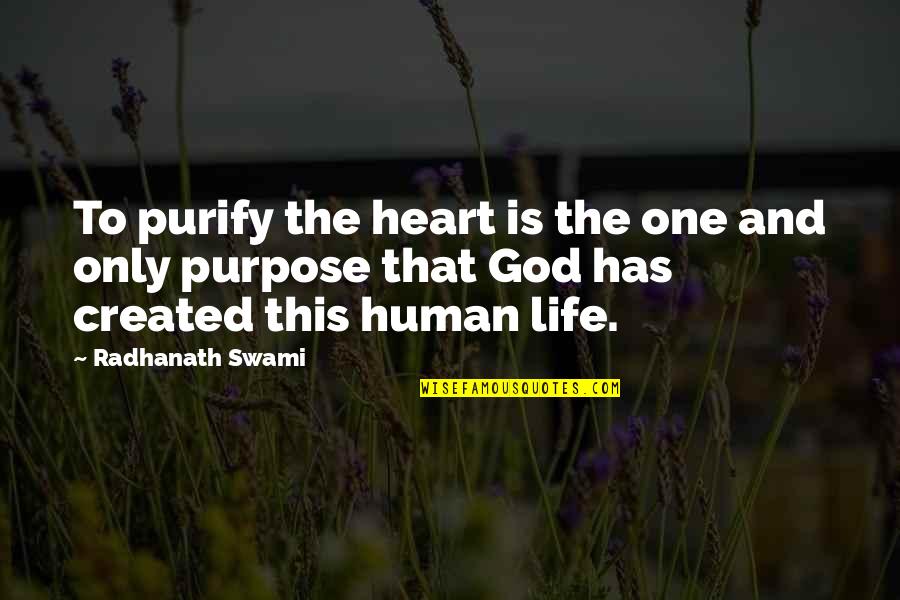You Were Created For A Purpose Quotes By Radhanath Swami: To purify the heart is the one and