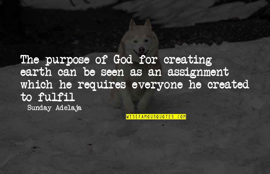 You Were Created For A Purpose Quotes By Sunday Adelaja: The purpose of God for creating earth can