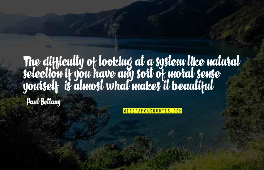 You Were Looking Beautiful Quotes By Paul Bettany: The difficulty of looking at a system like