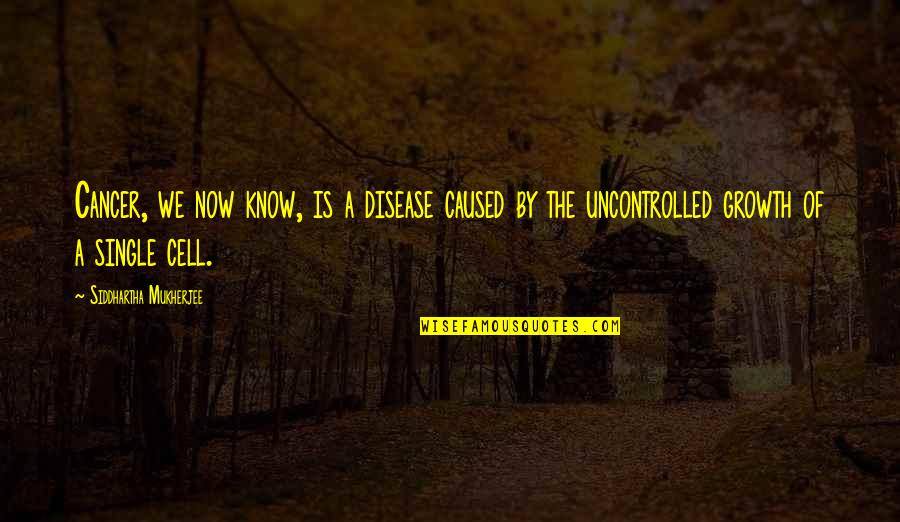 You Were My Disease Quotes By Siddhartha Mukherjee: Cancer, we now know, is a disease caused