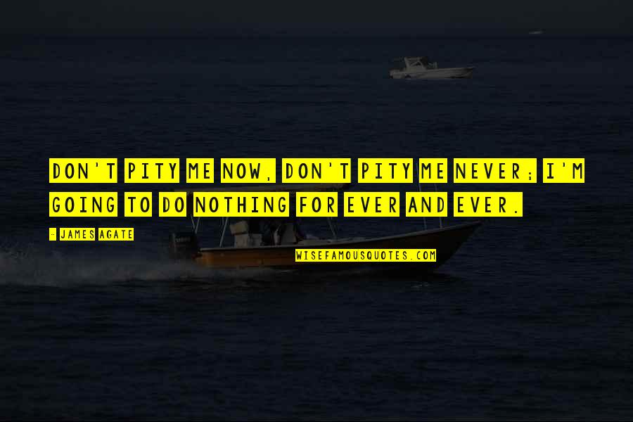 You Were Nothing To Me Quotes By James Agate: Don't pity me now, don't pity me never;