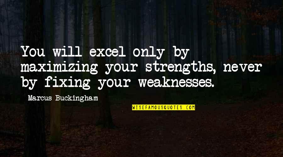 You Will Excel Quotes By Marcus Buckingham: You will excel only by maximizing your strengths,